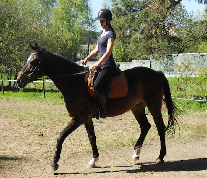 На фотографии девушка сидит на лошадит, идёт урок по верховой езде